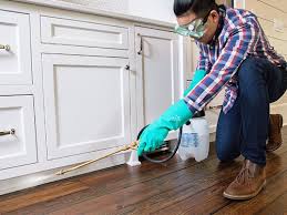 Best Real Estate Pest Inspections  in Wayne, IL